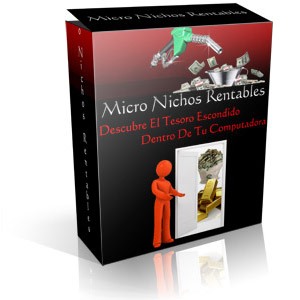 Micro Nichos Rentables micro nichos rentables 300 ¿Como tener tu pagina en Internet?
